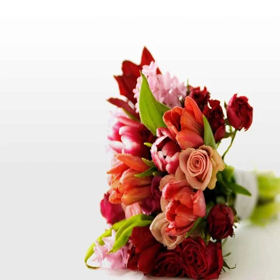 Elazığ Orkide Siparişi Sık Hatalar ve Çözümler